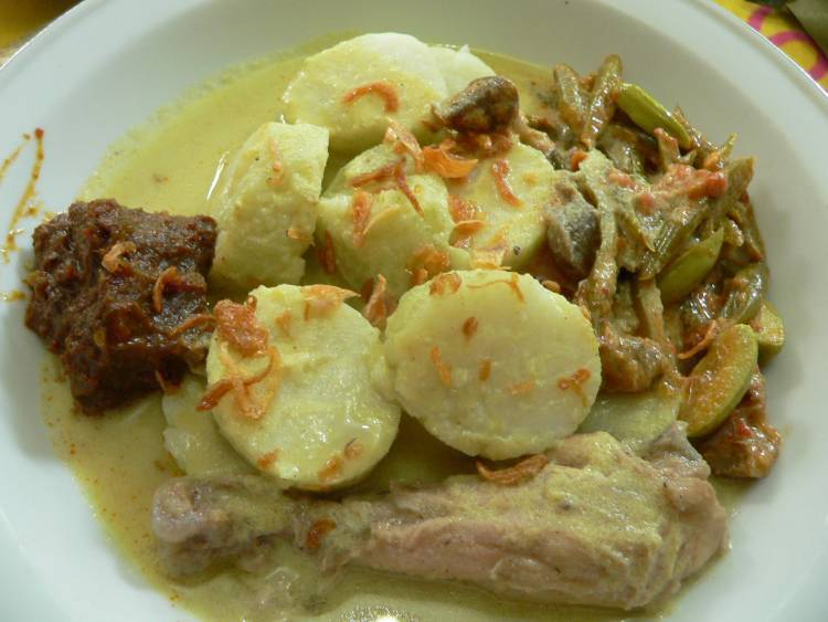  Kalori Nasi Opor Ayam 