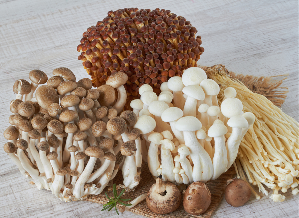 Matsutake dan Enokitake, Jamur Jepang yang Populer (2)