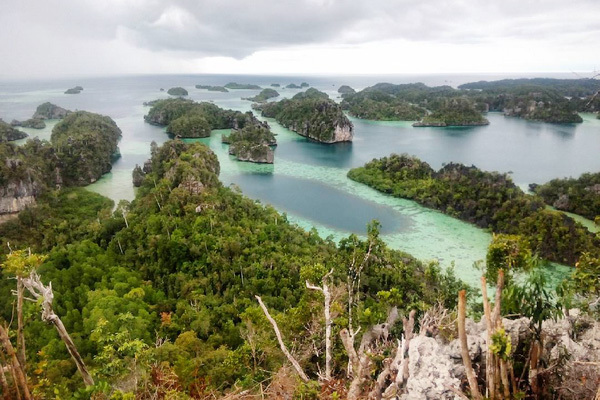 6 Alasan Harus Liburan Ke Misool Di Raja Ampat Sebelum Mati