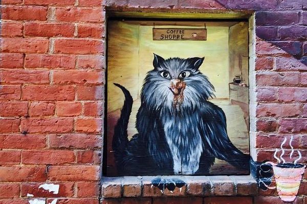 Lorong Keren di AS, Penuh Grafiti Gambar Kucing
