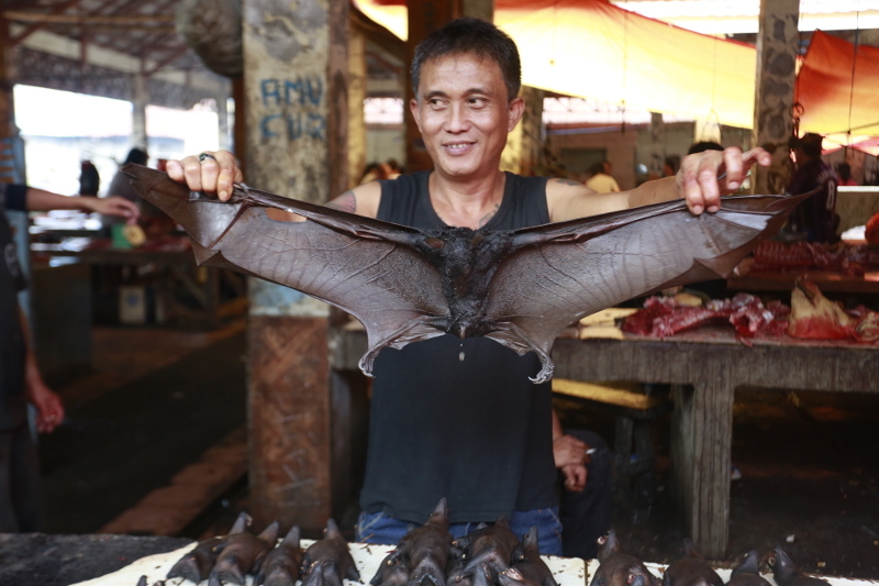 Sedih & Tegang di Pasar Ekstrem Tomohon