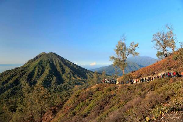 Gunung Bromo Ditutup, Wisatawan Pilih Daki Gunung Ijen