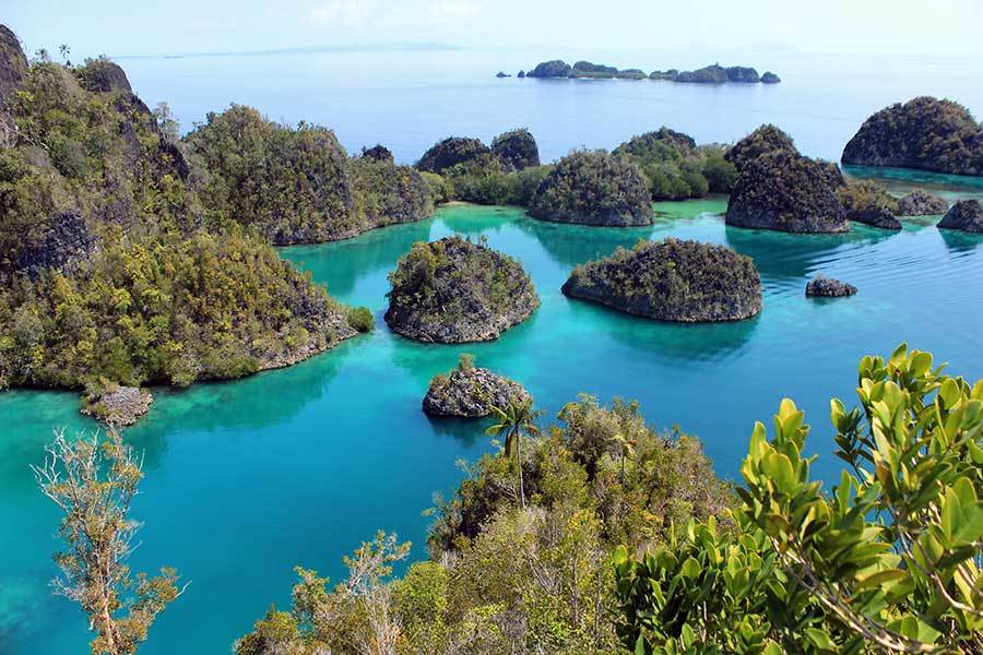 6 Tips Liburan ke Raja Ampat 