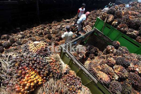 melestarikan industri minyak sawit negara