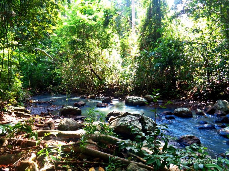 Leuweung Sancang, Satu Lagi yang Eksotik di Garut