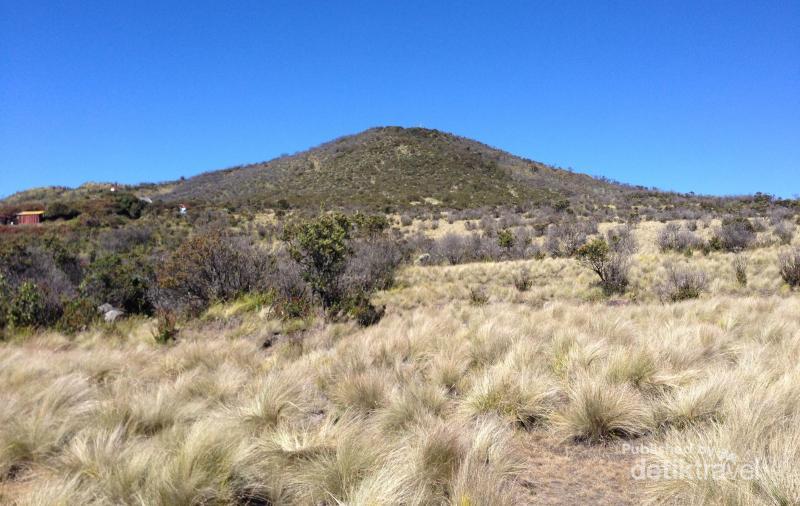 Foto: Indah Nian Gunung Lawu