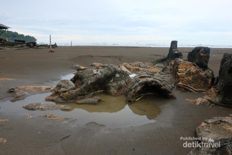 Melihat Malin Kundang Lebih Dekat