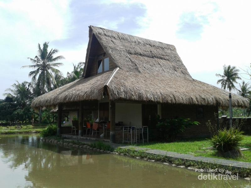  Desain  Rumah  Pinggir  Sawah