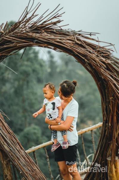  Taman  Edelweis  Destinasi Baru Instagramable di  Bali 