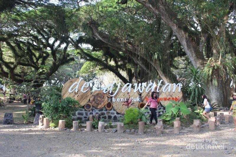 Kembaran Hutan Lord of The Rings di Ujung Pulau Jawa