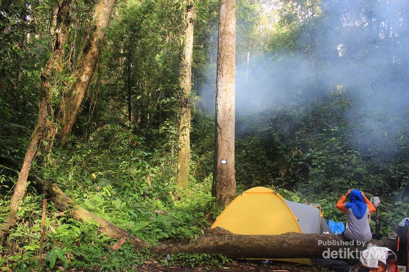 Kisah Manusia Misterius Di Gunung Bukit Raya Kalimantan