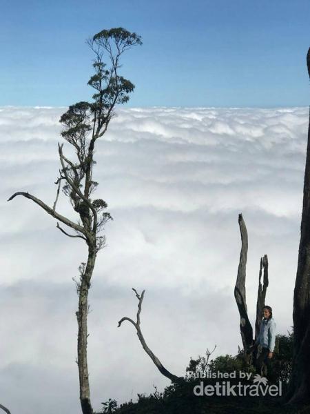 Lihat Jauh Ke Timur Ini Wisata Hits Di Timor Tengah Selatan