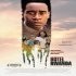 Hotel Rwanda: Sepotong Kisah Sedih dari Rwanda