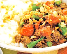 Nasi Kari Melayu