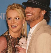 Britney Pilih Kevin Ketimbang Chihuahua