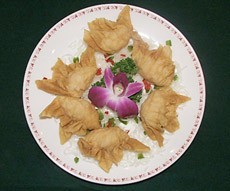 Crispy Fried Wonton Dumpling