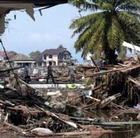 Segera Digarap, Film Tentang Tsunami