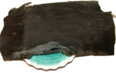 Katsuobushi
