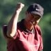 Woods Absen di Pembukaan PGA Tour 