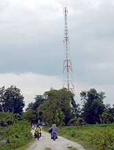 Operator Selular Jemput Bola di Blok Cepu