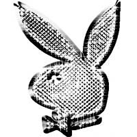 Playboy Cari 8 Mahasiswa Ganteng