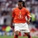 Davids Tak Masuk Oranye