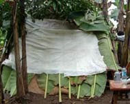 Hidup di Tenda Entah Sampai Kapan