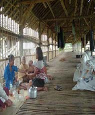 WHO Khawatir Pengungsi Gempa Kena Flu Burung