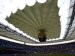 Korsel vs Togo di Arena Tertutup