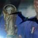 Burung Surga Piala Dunia