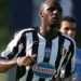 Mancini: Vieira Akan Bikin Perubahan
