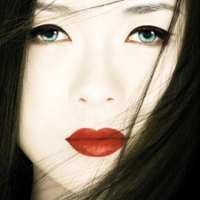 VCD/DVD Memoirs of a Geisha
