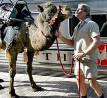 Ayah: Croc Hunter Tak Mau Dimakamkan Secara Kenegaraan