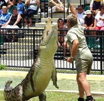 Fans Croc Hunter Antre Tiket, Russel Crowe Sampai Mudik