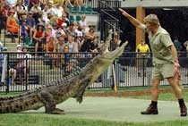 Kemping Demi Tiket Croc Hunter