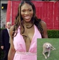 Karena Anjing, Serena Diadu ke Polisi