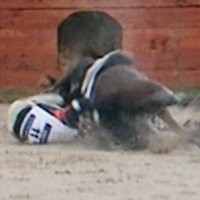 Atlet Equestrian Korsel Tewas 