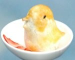 Menguak Rahasia Qute Dimsum