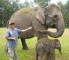 Beri Nama Bayi Gajah pun Mesti Potong Kambing 