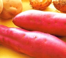 Ubi Jalar Sebagai Sajian Bernutrisi