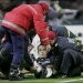 Terry Cedera Lagi, Chelsea Imbang