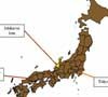 Gempa  & Tsunami Melanda Jepang
