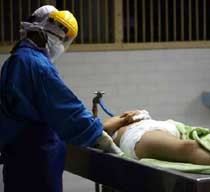 Korban Flu Burung Selesai di Tangan Bari dan Abumanu 