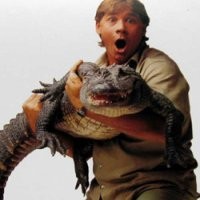 Bindi Irwin, Penerus Crocodile Hunter