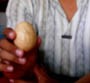 Telur Ayam Berlafal Allah Disimpan 2 Tahun Tidak Busuk 