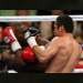 Mayweather Tundukkan De la hoya