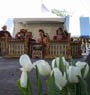Liar Samas & Tabuh Pisang Memukau di Festival Tulip Kanada