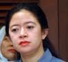 Puan Maharani, Penari yang Lulus Belajar Politik
