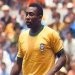 Pele Merumput Lagi