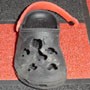 Kisah Crocs Hitam Si Joey